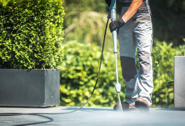 Best Pool Deck Cleaning  in Oakland Park, FL